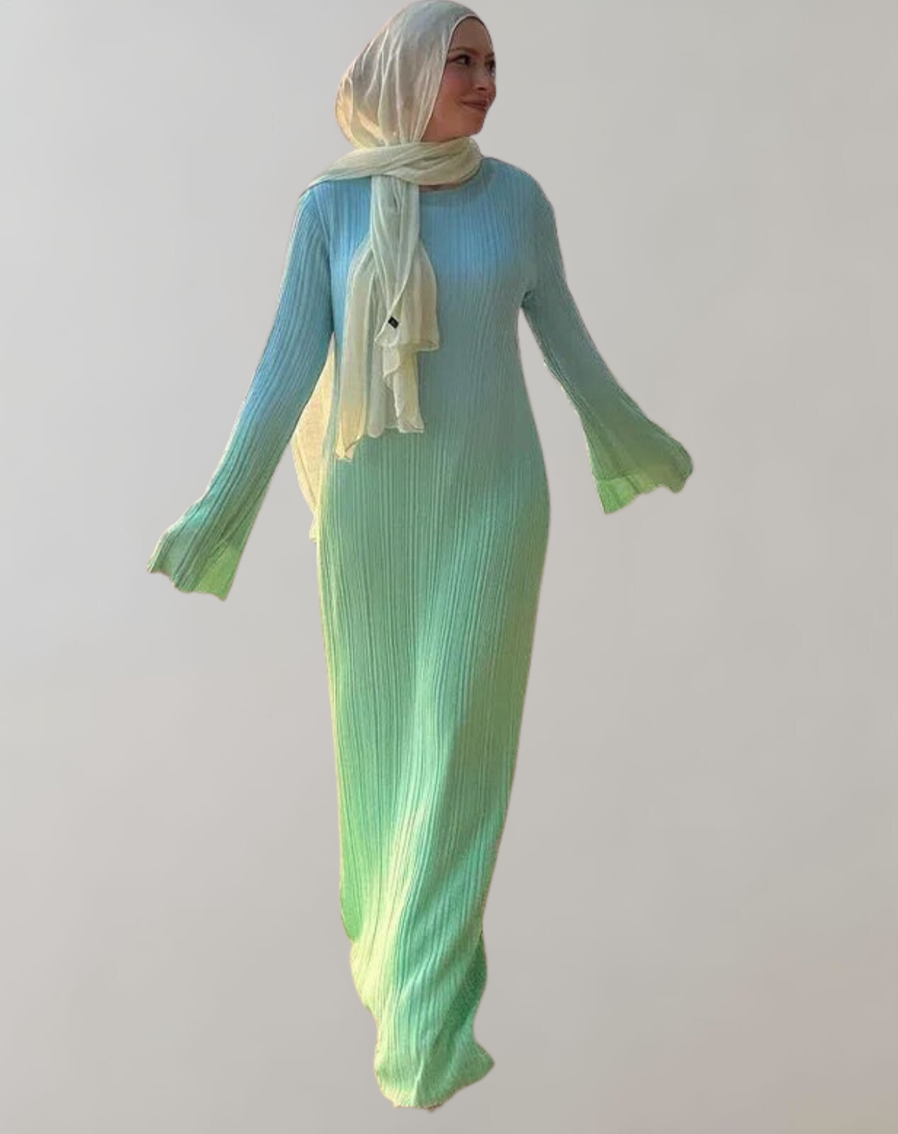 Daniela - Winter Elegant Gradient Plissee Flare Langarm O Hals Kleid