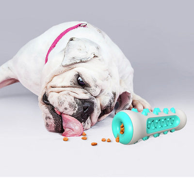 Zahnreinigendes Kauspielzeug für Hunde – Chewly