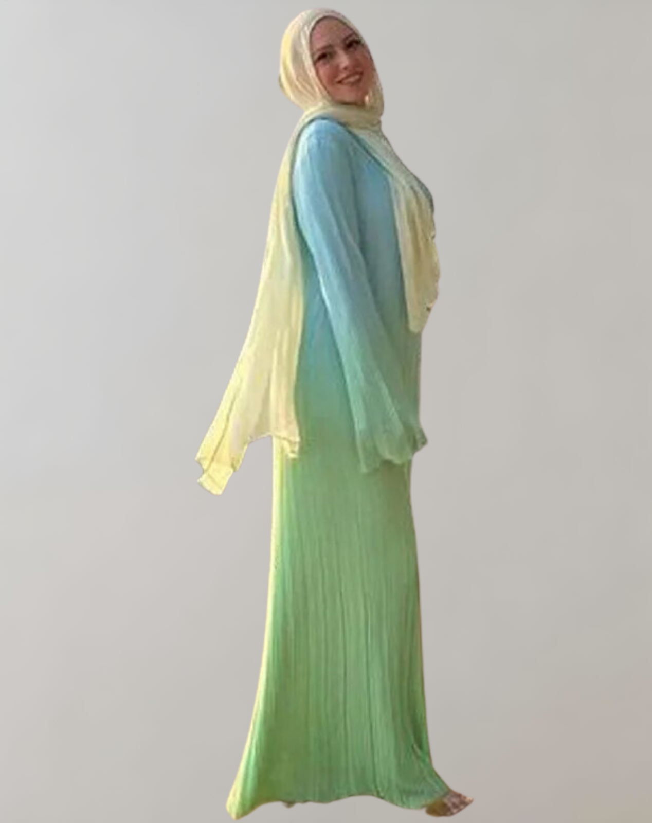 Daniela - Winter Elegant Gradient Plissee Flare Langarm O Hals Kleid