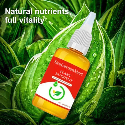 2+1 Gratis | PflanzenKraft™ Natürlicher Wachstumsboost