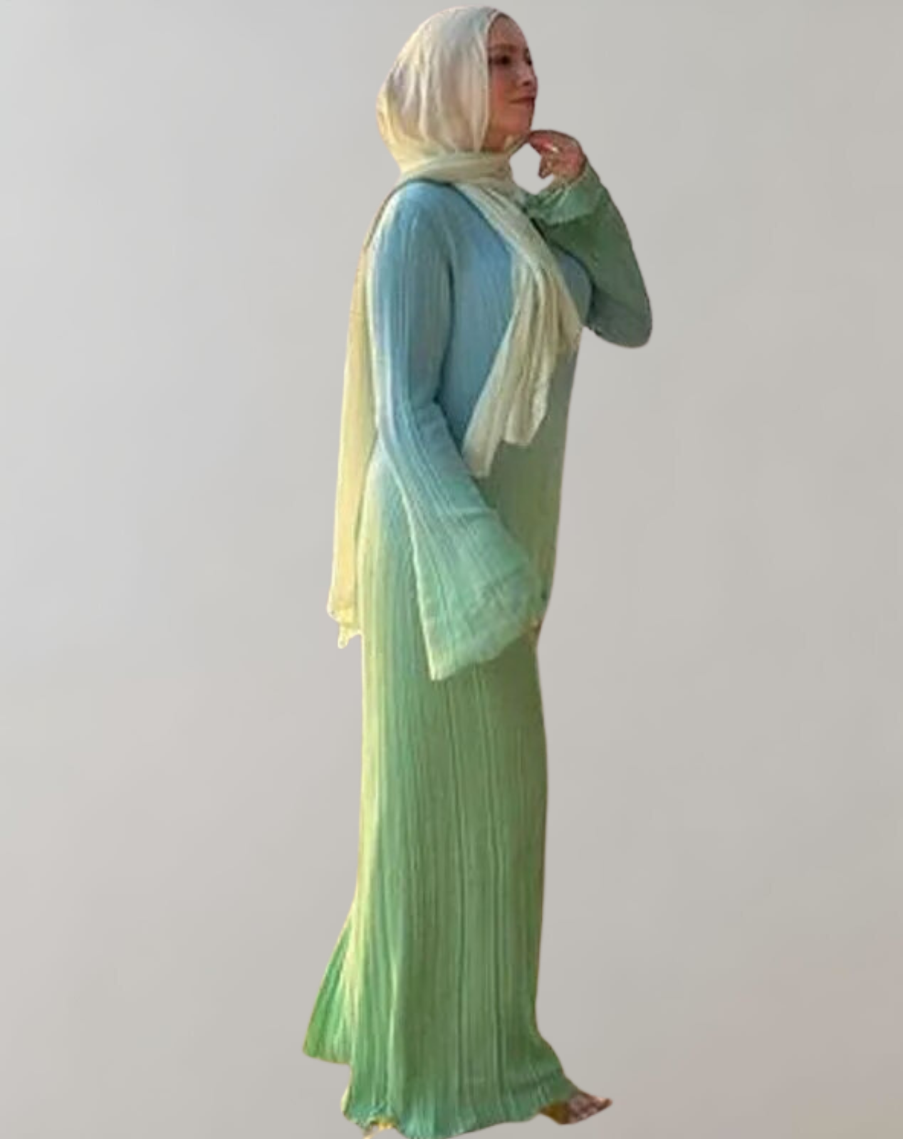 Daniela - Winter Elegant Gradient Plissee Flare Langarm O Hals Kleid