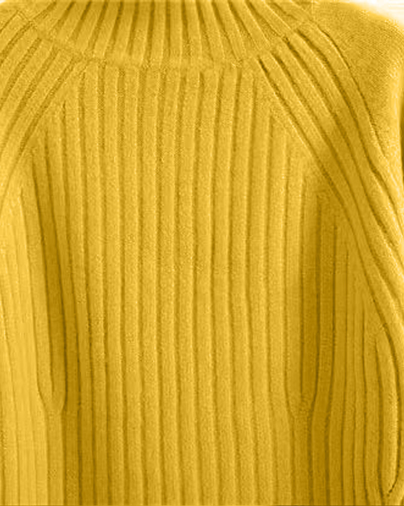 Stylischer Rollkragenpullover für die kalte Jahreszeit – Ideal für Anna