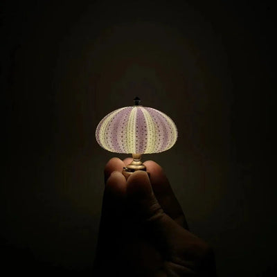 DIY Seeigel Nachtlicht - LumiUrchin