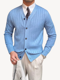 Andrew | Herren-Cardigan mit V-Ausschnitt in Blau