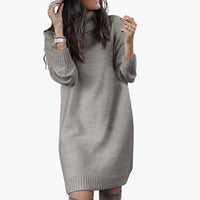Damen Pulloverkleid mit Rollkragen in Grau