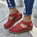 Rot