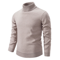 Herren-Rollkragenpullover – klassisches Design in Beige