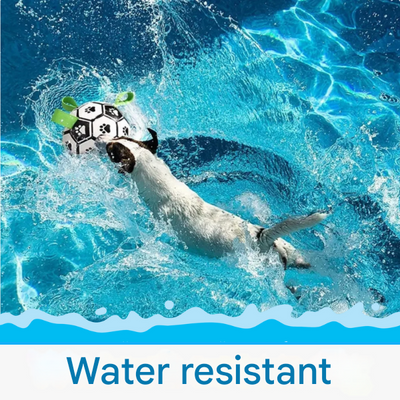 Nachhaltiger Hundesportball mit Griffen – TugBounce