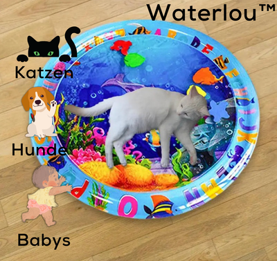 SensorischerRitt™ Fahren Lernen Spielen