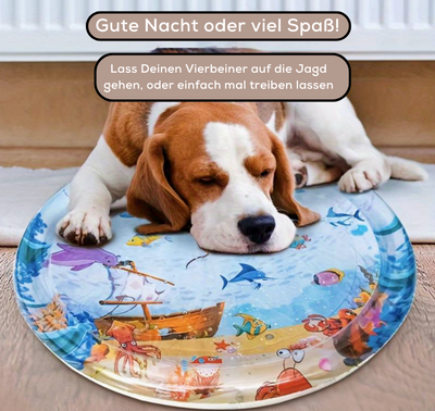 SensorischerRitt™ Fahren Lernen Spielen