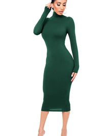 Damen Langarm Rollkragen Midi Etui Kleid in Grün