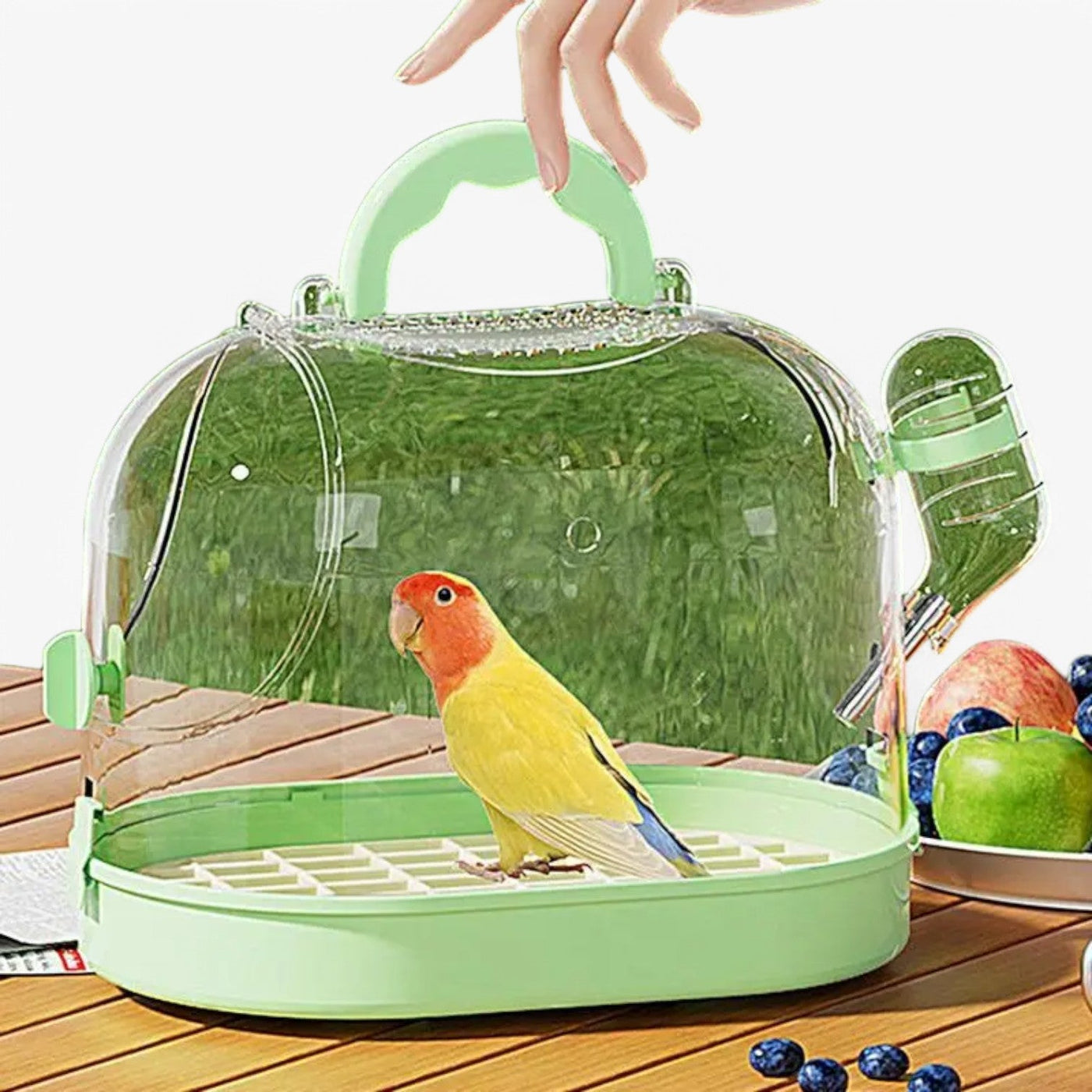 Tragbare Atmungsaktive Reisekäfig für Kleine Haustiere – Elvi