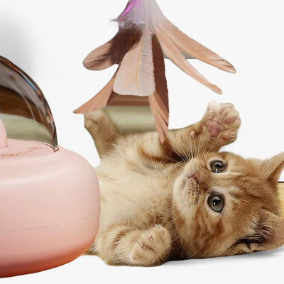 Slim Laser Katzenspielzeug mit Regenbogenlicht – Nola