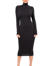 Damen Langarm Rollkragen Midi Etui Kleid in Schwarz