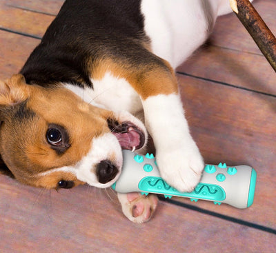 Zahnreinigendes Kauspielzeug für Hunde – Chewly