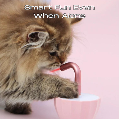 KatzenLaser™ Stimuliert natürliche Instinkte