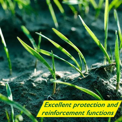 Biologisch abbaubare Rasensamenmatte - Verdi