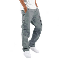 Anselm | Herren Cargo Hose | Outdoor in Grau