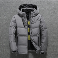 Felix | Herren Puffer Winterjacke | Steppjacke in Hellgrau