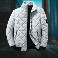 Lorenz | Herren Winter Steppjacke | Daunenjacke in Grau