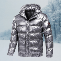Walter | Herren Winter Daunenjacke | Steppjacke mit Kapuze in Silber