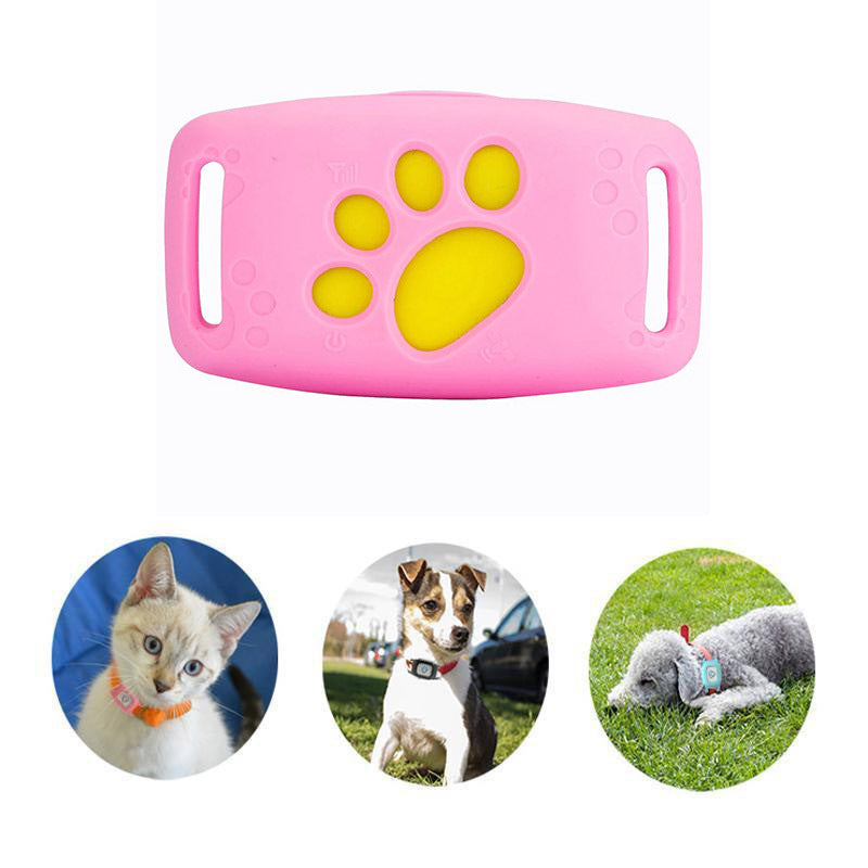 Intelligente GPS-Halsband für Katzen und kleine Hunde – PawTrack