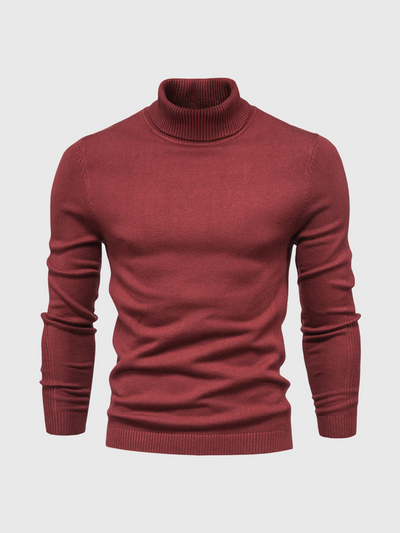 Rickiel | Rollkragenpullover Herren Schwarz | Strick pullover